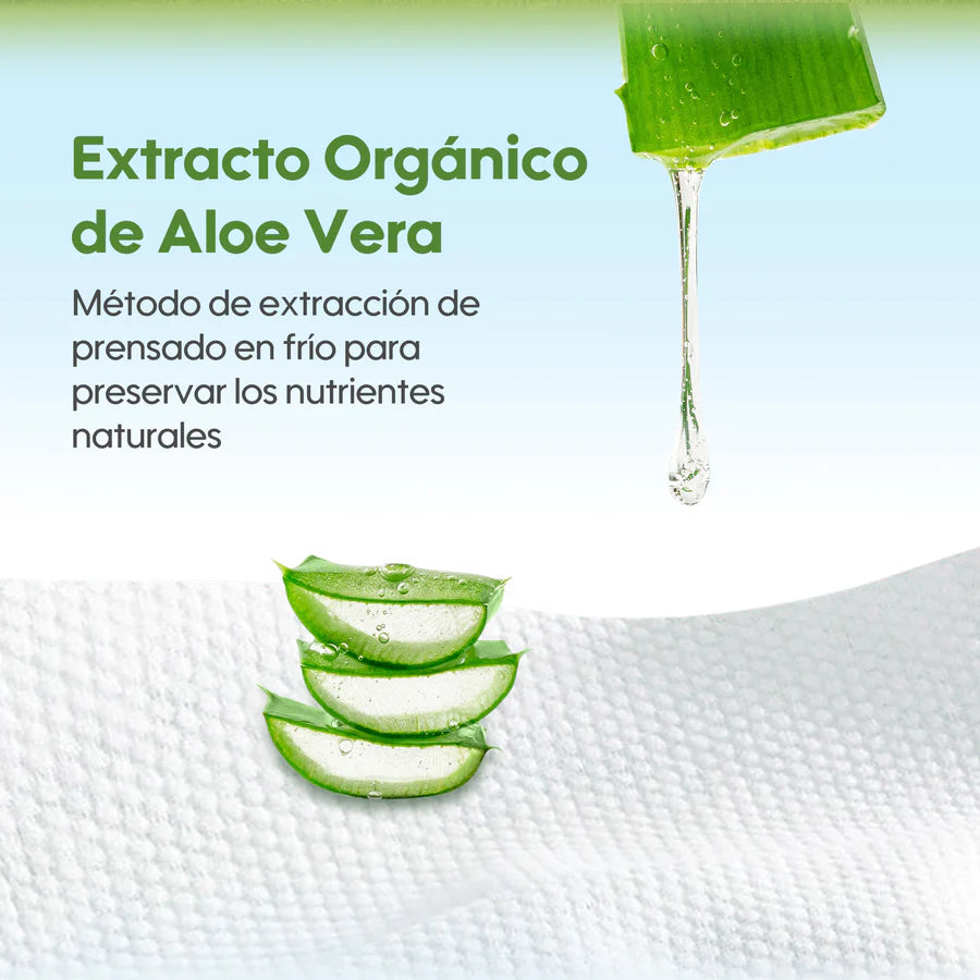 Pack Familiar: Toallitas Serie Fresca y Nutritiva 12 Paquetes/Caja - Áloe
