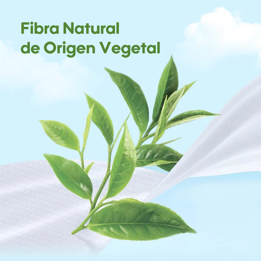 Pack Familiar: Toallitas Serie Fresca y Nutritiva 12 Paquetes/Caja - Áloe