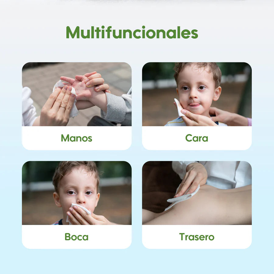 Pack Familiar: Toallitas Serie Fresca y Nutritiva 12 Paquetes/Caja - Áloe