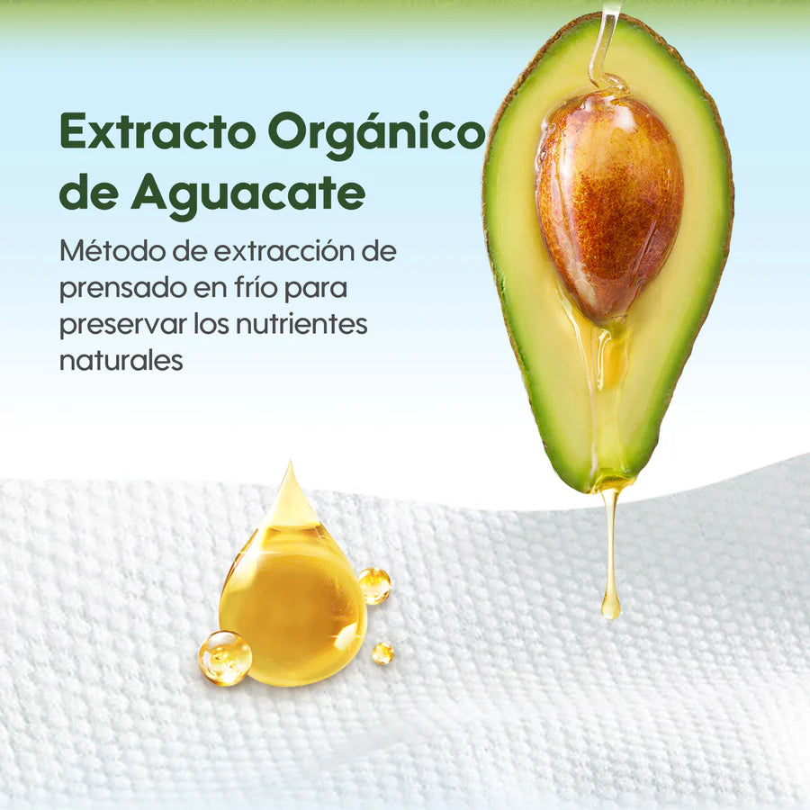Pack Familiar: Toallitas Serie Fresca y Nutritiva 12 Paquetes/Caja - Aguacate