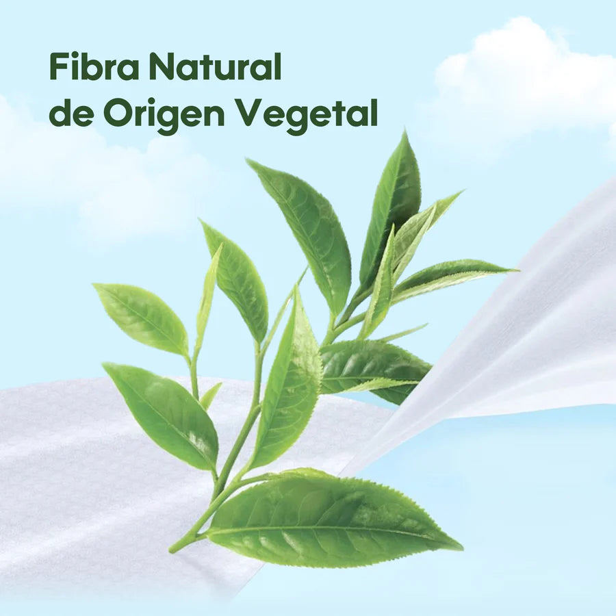Pack Ahorro: Toallitas Húmedas 99,9% Agua Pura Cuidado Fresco y Orgánico 3 Paquetes/Bolsa 252un - Aguacate