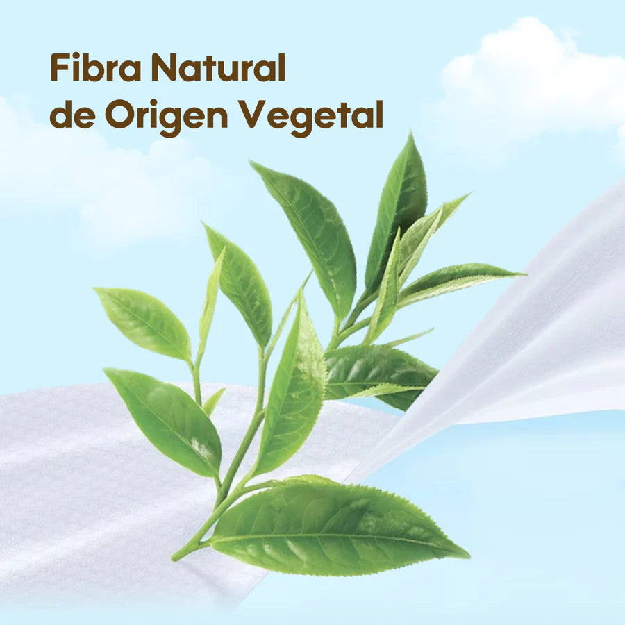 Pack Familiar: Toallitas Serie Fresca y Nutritiva 12 Paquetes/Caja - Papaya
